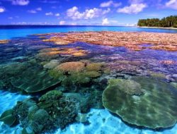 Ekosistem Pesisir dan Laut : Dijaga Bukan Dirusak!