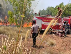 1,5 Hektar Lahan Terbakar di Senggarang