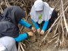 Mahasiswa Manajemen Sumberdaya Perairan Gelar Aksi Rehabilitasi Mangrove