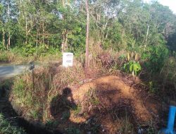 Hutan Seluas 730 Hektare di Bintan Diputihkan