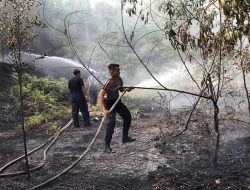 Kebakaran Hutan Terjadi di Sekitar Kawasan Bandara Hang Nadim Batam