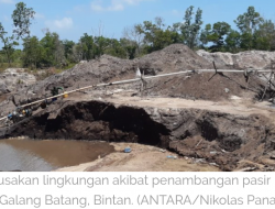 Masyarakat Anti Korupsi Indonesia Desak Pemkab Hentikan Tambang Ilegal di Bintan
