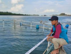 Nelayan Tradisional Pulau Petong Minta Pemerintah Cari Jalan Pulihkan Perekonomian