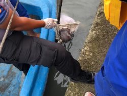 Update – Temuan Mayat Terapung di Pelantar I Tanjungpinang, Ditemukan Tanda Kekerasan