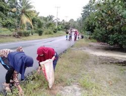Pemuda-pemudi Dusun III Batu Tumbang Goro Cegah Terjangkitnya Demam Berdarah