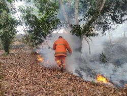 Awal Tahun 2021, DPKP Tanjungpinang Sudah Tangani 46 Kasus Kebakaran