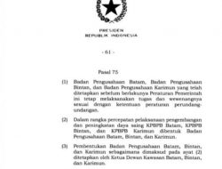 PP 41/2021 Terbit, Pemerintah Satukan BP Batam Bintan Karimun