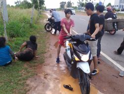 Dua Motor Adu Kambing di Jalan Daeng Clak Tanjungpinang 