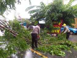 Dahan Pohon Tumbang Ganggu Lalu Lintas, Satuan Sabhara Polres Tanjungpinang Turun Tangan