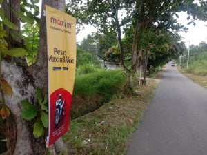 Poster Iklan tak Berizin Rusak Ratusan Pohon di Tanjungpinang
