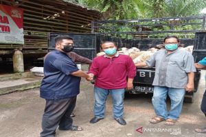Warga Singapura-Malaysia-Brunai Sumbang 2.000 Domba Kurban ke Sumut