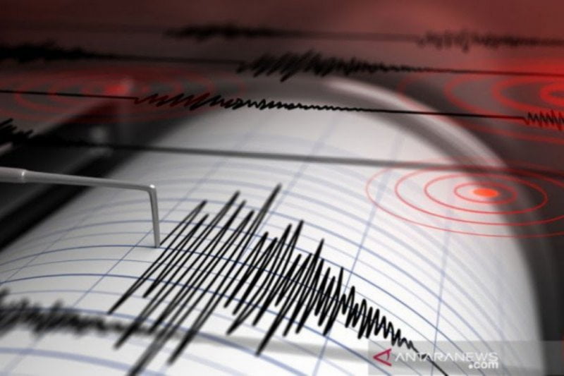 Gempa Magnitudo 5,1 Guncang Halmahera Barat, Tak Berpotensi Tsunami