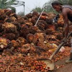 Pemprov Riau Diminta Dorong Hilirisasi Produk Sawit