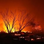 Kebakaran di Oregon Makin Menjadi, Sehari 8 KM Hutan Terbakar