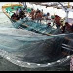 Nelayan Bintan Keluhkan Hasil Tangkap Berkurang Akibat Kapal Pukat