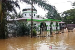Ratusan Rumah Warga dan Masjid di Aceh Barat Terendam Banjir