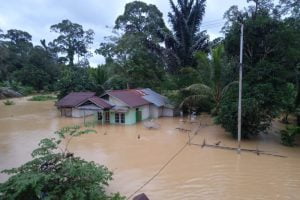 BNPB: Empat Kecamatan di Kabupaten Sintang masih Terendam Banjir