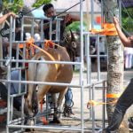 Cegah Kerumunan, Daging Kurban di Tanjungpinang Diantar Langsung ke Rumah Warga