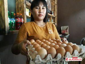 Telur Langka di Ranai Natuna, Harganya Tembus Rp60 Ribu per Papan