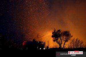 Horor Kebakaran Hutan Yunani: Ribuan Orang Dipaksa Ngungsi