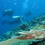 KKP Dukung Pengembangan Wisata Harta Karun Bawah Laut di Selayar