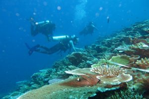 KKP Dukung Pengembangan Wisata Harta Karun Bawah Laut di Selayar