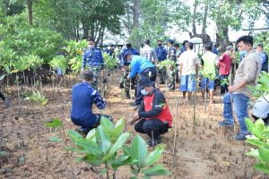 Lanud Hang Nadim dan Warga Kampung Terih Tanam 5.000 Bibit Mangrove