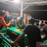 Tim SAR Gorontalo Selamatkan Nelayan Hanyut di Perairan Pulau Lampu