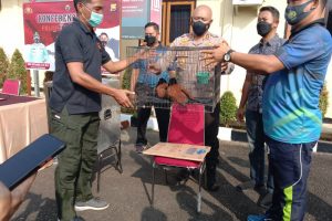Polisi Sita Burung Tokhtor Sumatera dan Elang Hitam dari Warga Mukomuko Bengkulu