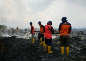 KPH: Kebakaran Lahan di Sambas Akibat Pembukaan Lahan