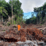 Dua Warga Tator Hilang Tersesat di Hutan Sungai Maya Tarakan