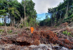 Dua Warga Tator Hilang Tersesat di Hutan Sungai Maya Tarakan