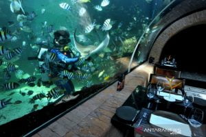 Koral Restaurant Bali Dinobatkan Sebagai Picture-Perfect Restaurants