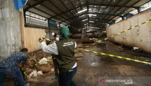 Timbulkan Bau Busuk, Pemko Medan Tutup Pabrik Pengolahan Bulu Ayam