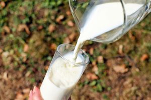 Benarkah Minum Susu Bisa Bersihkan Paru-paru, Ini Kata Ahlinya