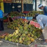 Kalbar Ekspor Durian 53 Ton ke China Setiap Dua Bulan