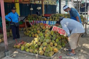 Kalbar Ekspor Durian 53 Ton ke China Setiap Dua Bulan