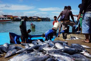 Poros Maritim Dunia Harus Jaga Nelayan Tradisional