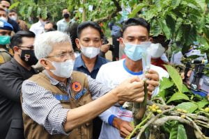 Sumatera Selatan Tingkatkan Kualitas Kopi Melalui Gerakan Stek Batang