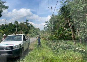 Jadwal Pemadaman Listrik di Tanjungpinang, Cek Waktu dan Lokasinya