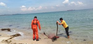 Imran Korban Tabrakan Kapal Ditemukan di Pantai Palm Spring Nongsa