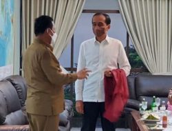 Gubernur Ansar Usulkan FTZ Menyeluruh Bintan-Karimun ke Jokowi