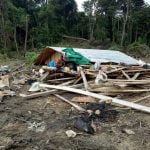 Kawanan Gajah Rusak Rumah Petani di Aceh Timur