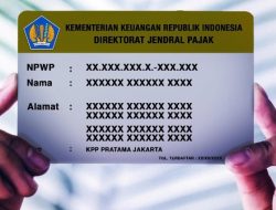 Terungkap Alasan Sri Mulyani Gabungkan KTP dengan NPWP