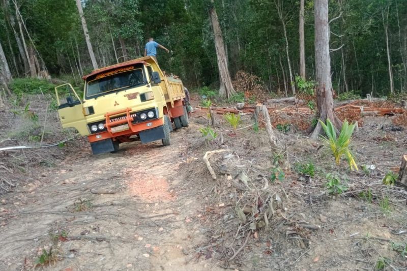 Hutan Gunung Lengkuas Bintan Mulai Terkikis Dijarah Berbagai Pihak