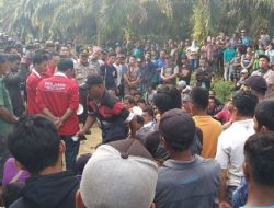 Pansus DPRD Terima 33 Laporan Konflik Lahan di Riau