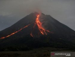 Gunung Merapi Luncurkan Lava Pijar Sejauh 1,8 Km