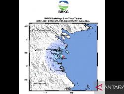 Gempa Tektonik Magnitudo 3,7 Guncang Tarakan