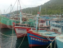 Kejari Natuna Bakal Lelang Lagi 20 Unit Kapal Ikan Rampasan