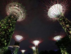 Singapura Berencana Impor Listrik hingga 4 GW pada 2035, Krisis Listrik?